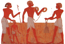 Moisson et arpentage  en Haute-Egypte